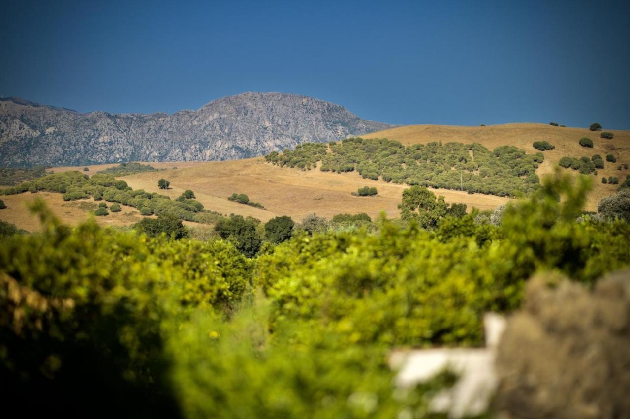 Finca Los Pajaros San Pablo Dış mekan fotoğraf